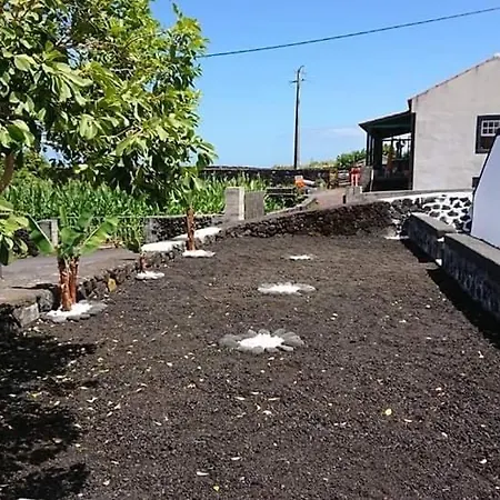 Apartamento Azores Black Mountain House, Estudio E T2 Ilha Do Pico *